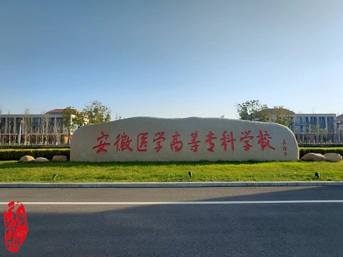 中南藥機(jī)︰安徽醫(yī)學(xué)高等專(zhuān)科學(xué)校 “1+X”藥物制劑生產(chǎn)職業(yè)技能設(shè)備安裝調(diào)試